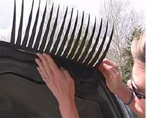 Car Eyelash