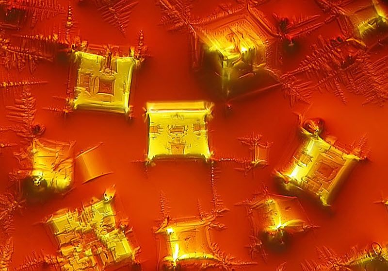 fotografije Crystallised soy sauce (16X magnification) taken at Beijing Language and Culture University in Beijing, China